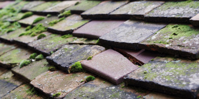 Thriplow roof repair costs